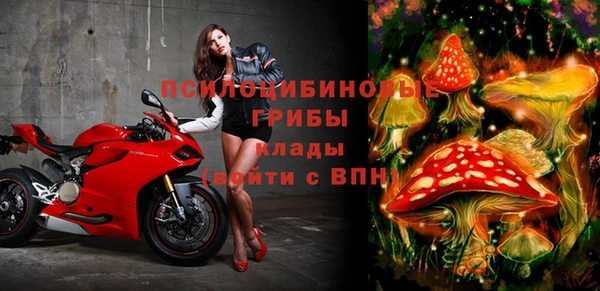 меф Алексин