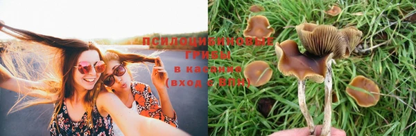 спайс Абинск