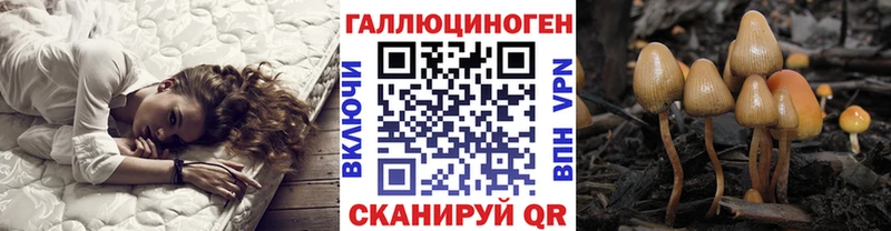 Псилоцибиновые грибы мицелий  мега зеркало  даркнет телеграм  Чита 