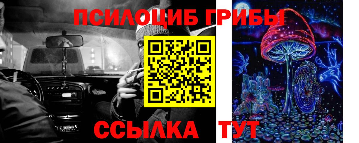 Псилоцибиновые грибы Psilocybine cubensis  Вход с VPN  Галлюциногенные грибы Cubensis  Чита 
