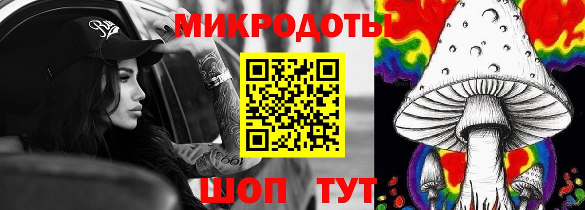 Галлюциногенные грибы Psilocybe Чита